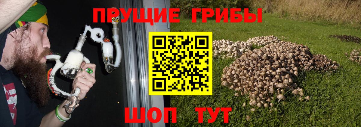 Псилоцибиновые грибы MAGIC MUSHROOMS Ухта