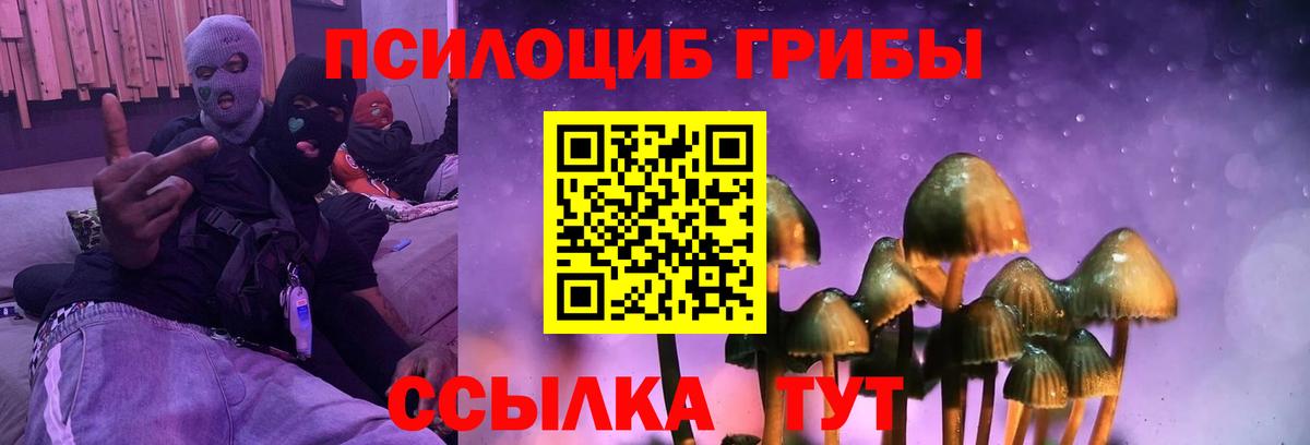 Ухта  Галлюциногенные грибы прущие грибы  Галлюциногенные грибы мицелий  Вход с VPN 